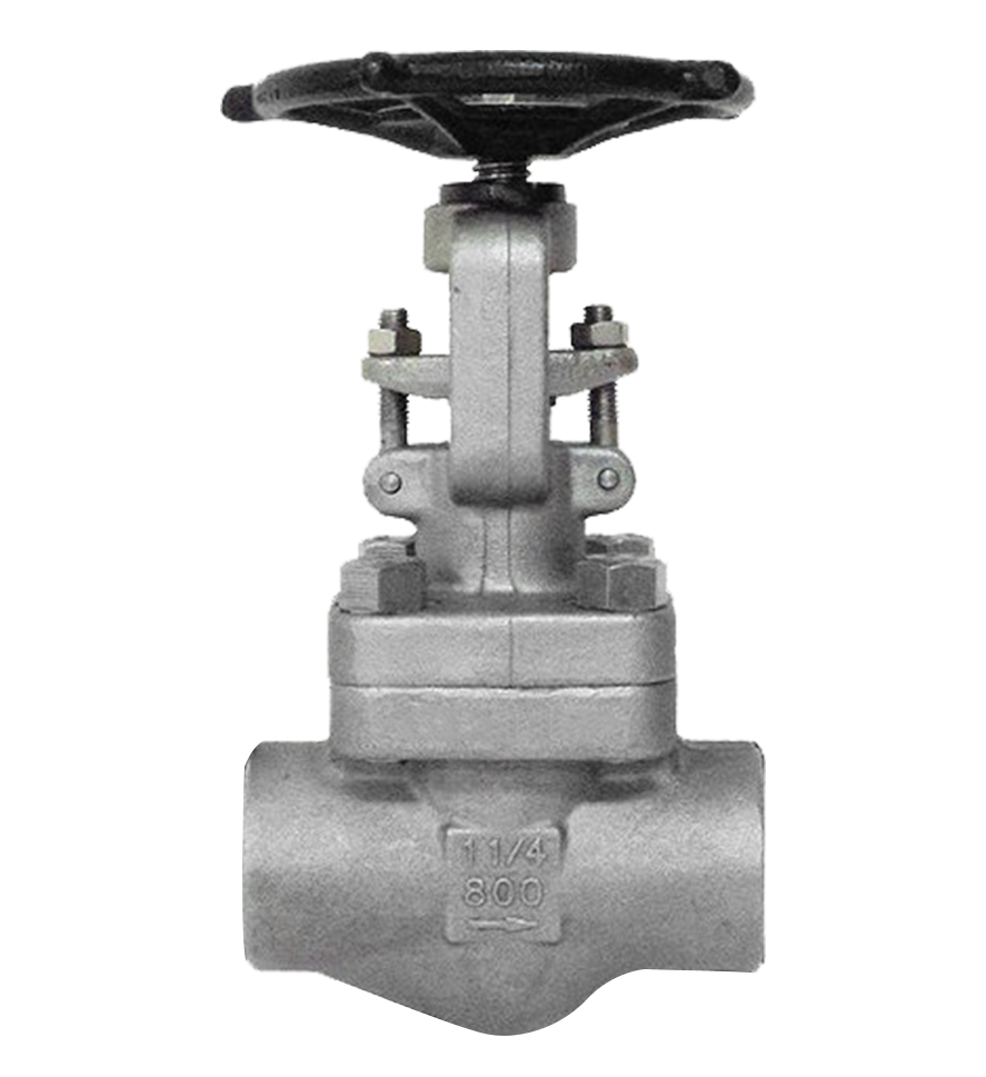 Vahn-Tech Forged Globe Valves